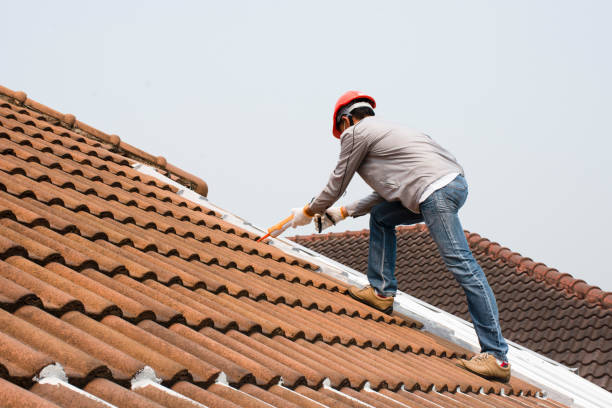 Best Emergency Roof Repair Services  in South Sumter, SC